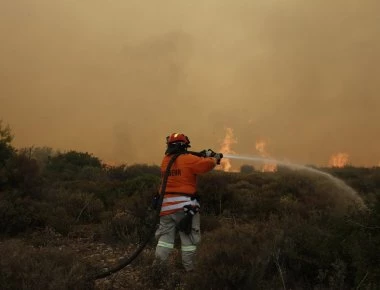 Υπό έλεγχο η φωτιά στην Κλινδιά Ηλείας (φωτό)